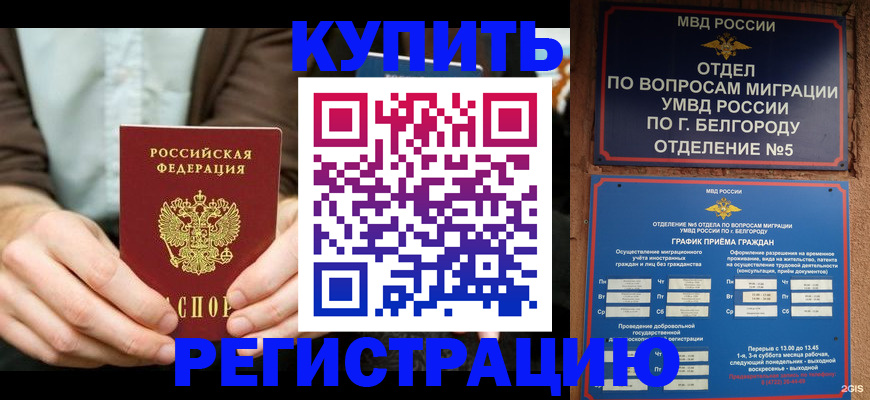 прописка 2025 в Зверево